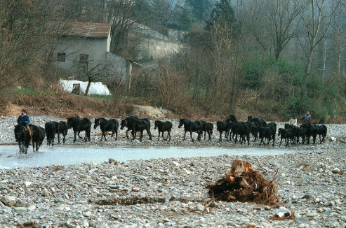 vivere in fattoria vivere in fattoria